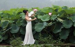 黄sei网站有哪些